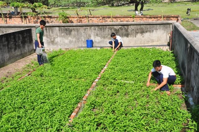 Tết ấm tình quân dân nơi đảo xa - ảnh 6